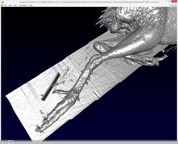 A Guineafowl leg from CT, as viewed in ImageVis 3D. it's about as no-frills as CT software comes, but that can be a plus if you just want a quick look or basic threshold.