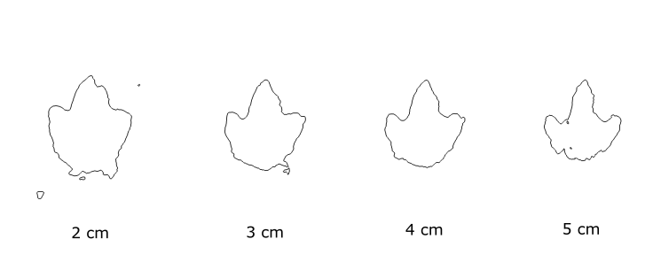Figure 3.png